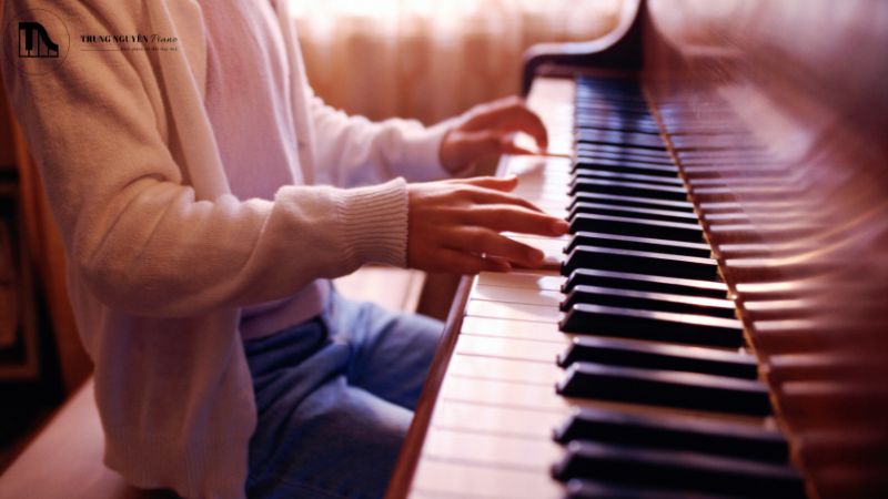 Chọn đàn phù hợp nhu cầu và tài chính