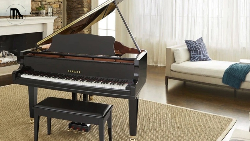 Mua đàn từ người quen thường tạo cảm giác tin tưởng