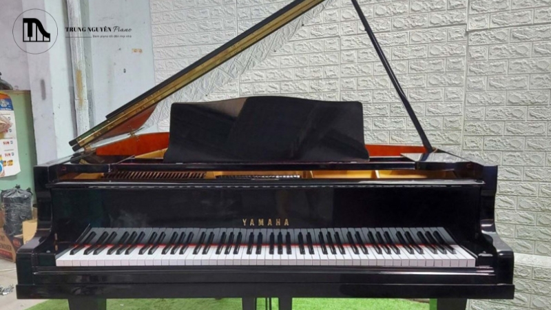 Tìm kiếm các vết nứt, trầy xước sâu, hoặc dấu hiệu phồng rộp do ẩm mốc