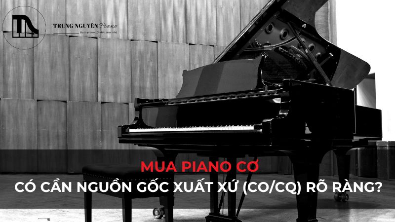 Mua piano cơ: Có cần nguồn gốc xuất xứ (CO/CQ) rõ ràng?