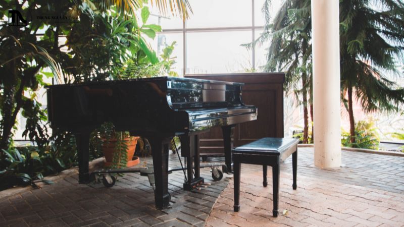 Dịch vụ sửa chữa hệ thống Pedal Lyre: Hết kêu, lỏng lẻo 4 Lý do hỏng Pedal Lyre