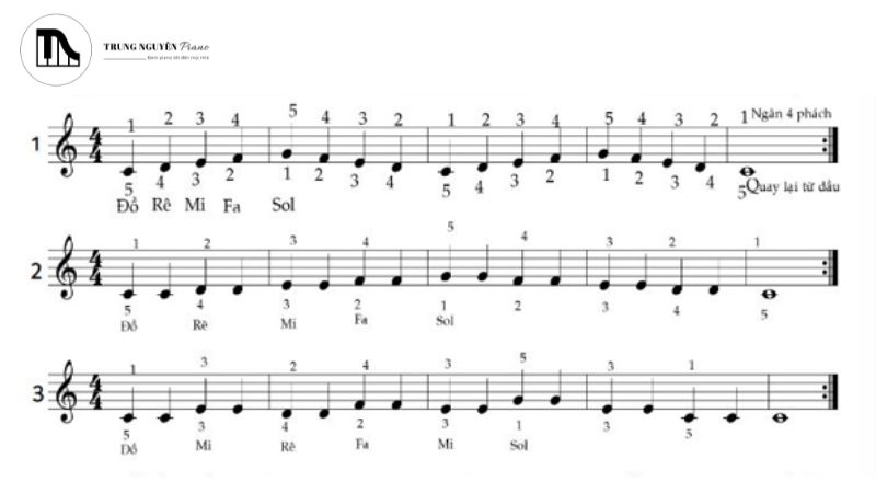 Nhịp 4/4 ở ngay đầu khuông nhạc