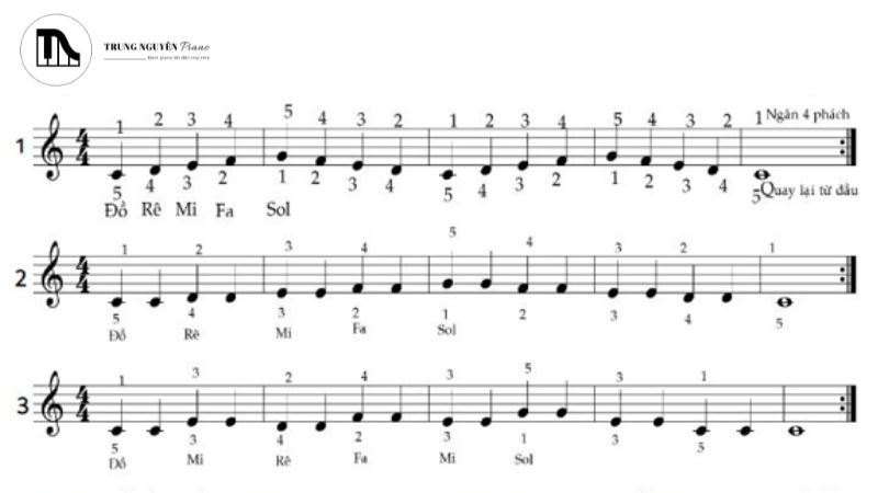 Nhịp 4/4, thường được ký hiệu bằng chữ C