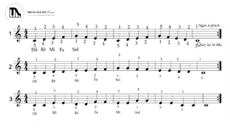 Việc giữ vững nhịp là nền tảng quan trọng nhất