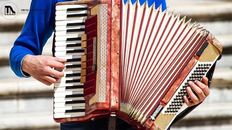 Bảo quản ống hơi (Bellows) Accordion: Hướng dẫn tránh hư hỏng 1 Ống hơi Accordion là gì