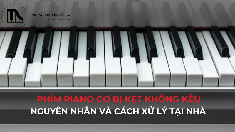Phím đàn piano cơ bị kẹt không kêu: nguyên nhân và cách xử lý tại nhà
