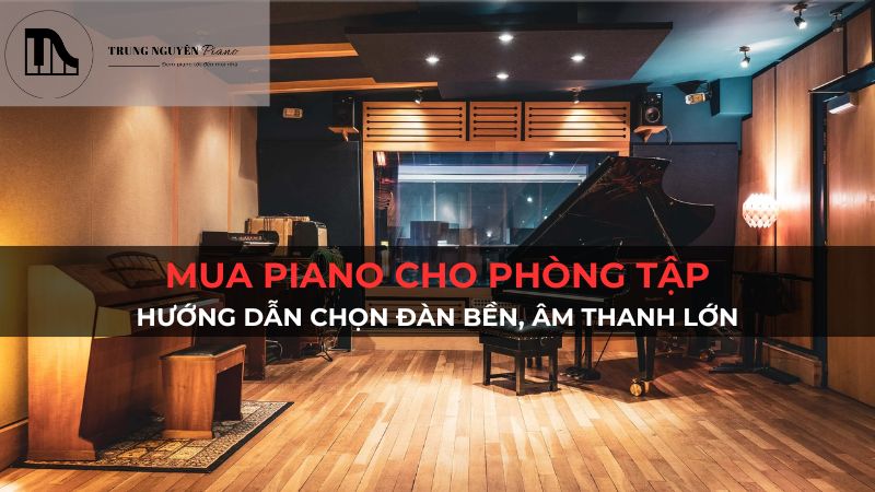Mua Piano cho phòng tập: Hướng dẫn chọn đàn bền, âm thanh lớn