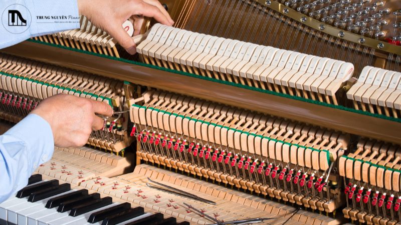 Chi phí sửa piano nào tốn kém hơn