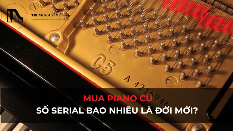 Mua piano cũ: Số serial đàn piano bao nhiêu là đời mới?