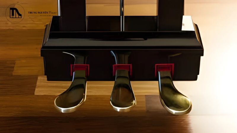 Pedal sustain không hoạt động hoặc không vang