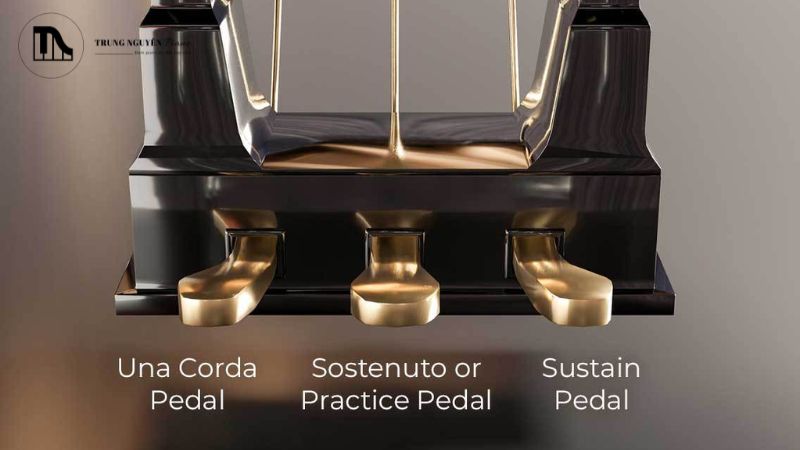 Những hư hỏng vật lý này sẽ làm gián đoạn tín hiệu điện tử truyền từ pedal đến đàn