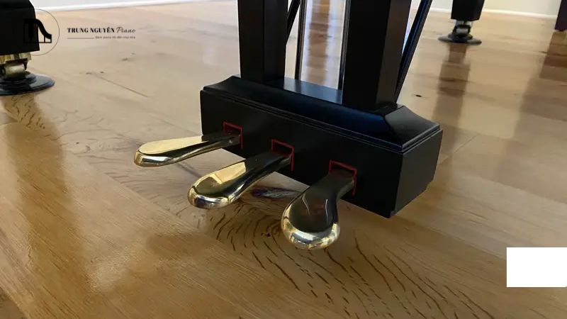 Rút jack cắm ra và kiểm tra xem có bụi bẩn hay không