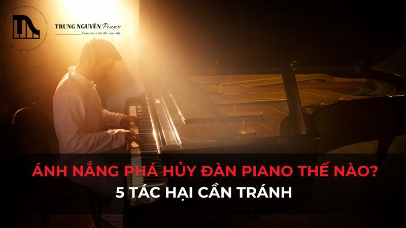 Những tác hại của ánh nắng lên piano mà bạn nên biết