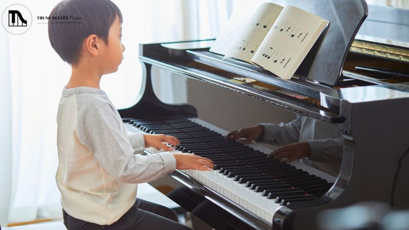 Lý do vì sao độ ẩm quan trọng với đàn piano cơ