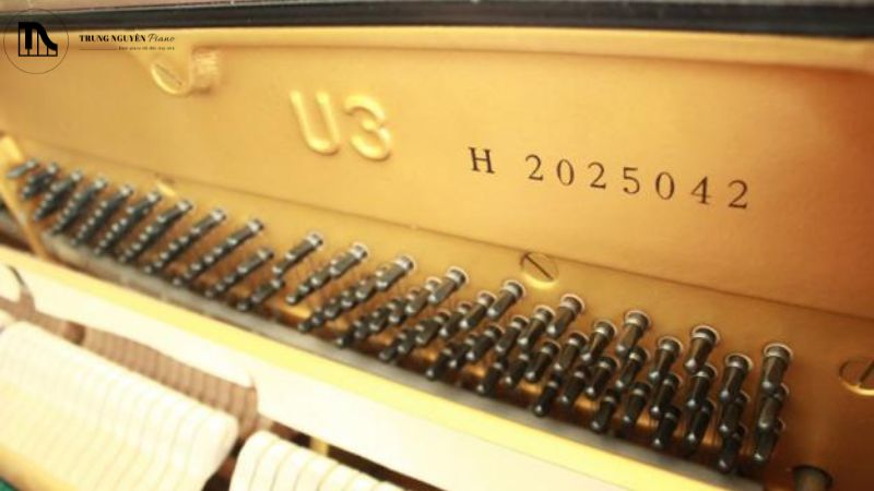 Số serial đàn piano bao nhiêu là đời mới? Hướng dẫn A-Z khi mua đàn cũ 1 Vì sao số serial đàn piano quan trọng