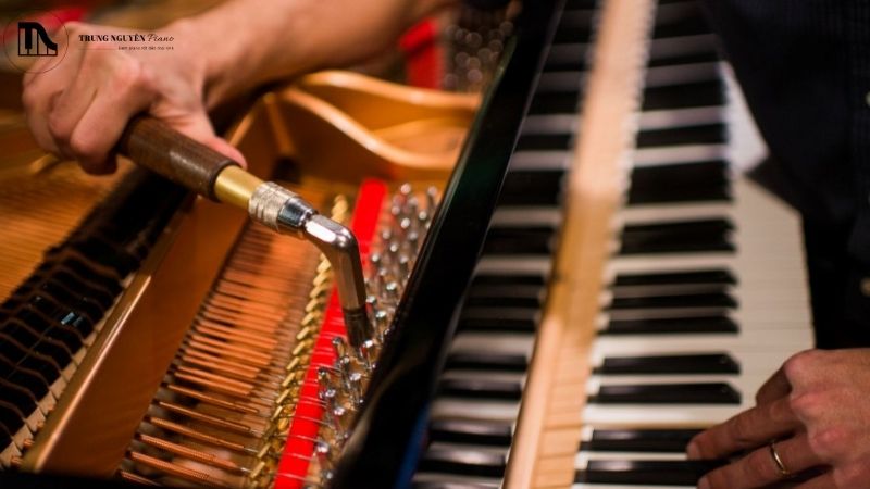 Kiểm tra độ ẩm piano cơ: Ngăn hư hỏng và tiết kiệm chi phí 5 Tầm quan trọng của việc kiểm soát nhiệt độ và bảo dưỡng piano