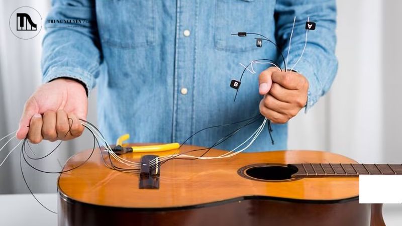 Thay dây đàn Guitar Bass định kỳ là phần quan trọng của việc bảo dưỡng nhạc cụ