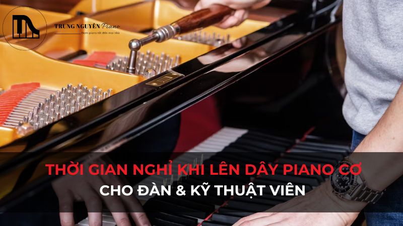 Thời gian nghỉ khi lên dây piano cơ: Cho đàn & kỹ thuật viên