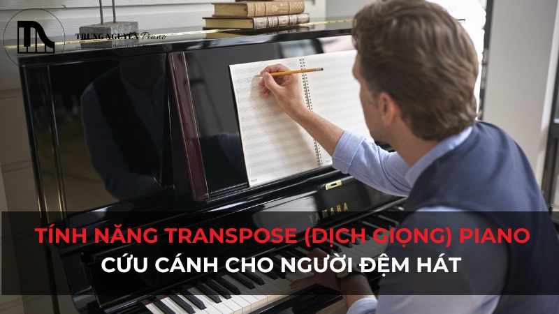 Tính năng Transpose (Dịch giọng) Piano: Cứu cánh cho người đệm hát