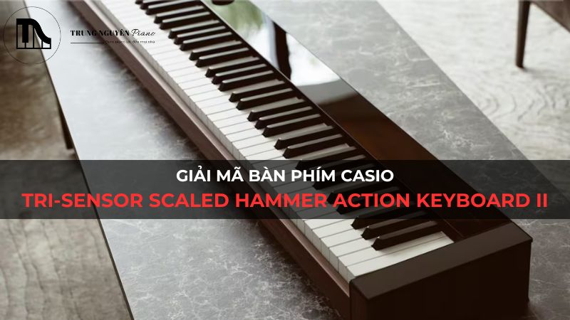 Giải Mã Bàn Phím Casio: Tri-sensor Scaled Hammer Action Keyboard II