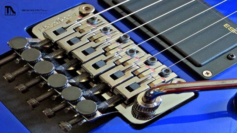Đặc điểm nổi bật của Floyd Rose