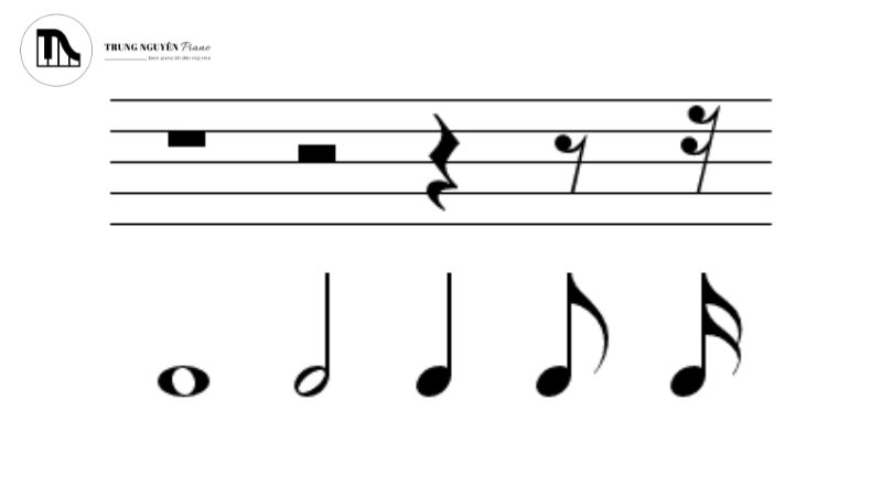 Các loại dấu lặng cơ bản và giá trị trường độ