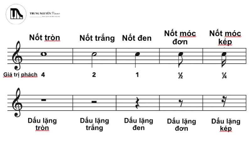 Dấu lặng là xương sống của nhịp điệu (rhythm)