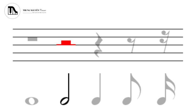 Giải đáp thắc mắc thường gặp về Trầm lặng trong âm nhạc