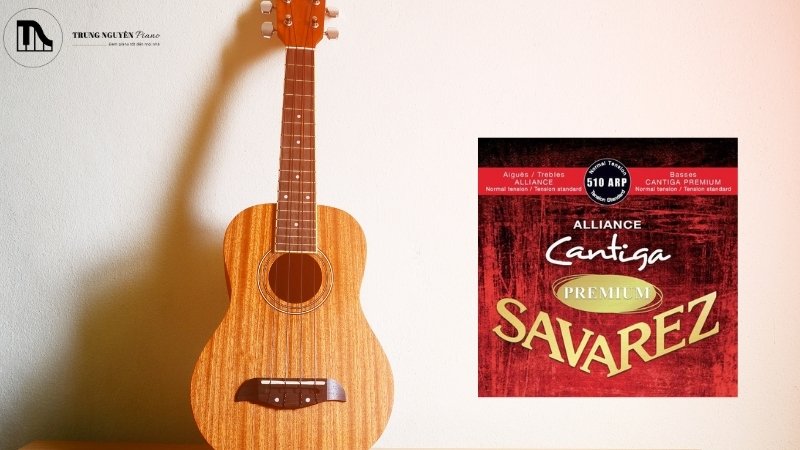 Savarez Cantiga Alliance phù hợp cho ai