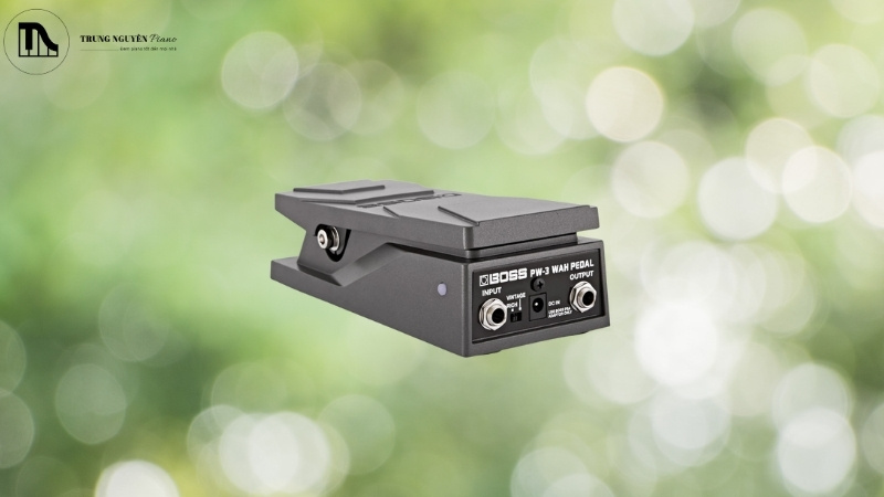 Tầm quan trọng của Wah trong các dòng nhạc