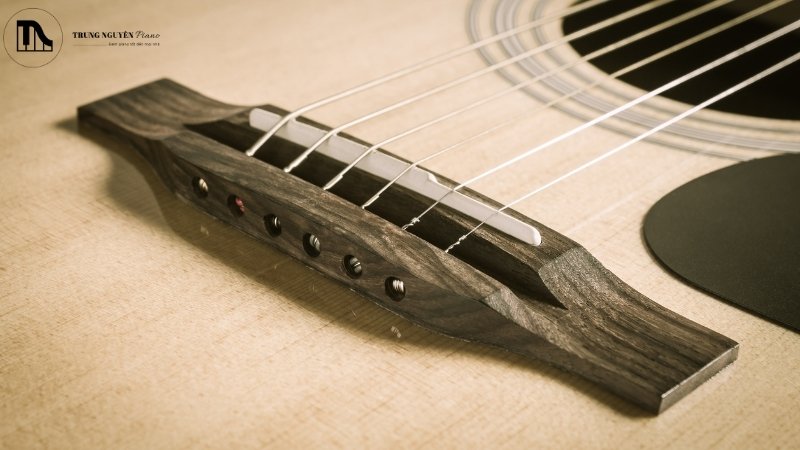 Cách bảo dưỡng ngựa đàn guitar