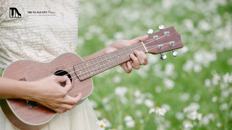 Các loại đàn Ukulele: Soprano, Concert, Tenor & Cách chọn phù hợp 1 Ukulele là một nhạc cụ nhỏ gọn có nguồn gốc từ Hawaii
