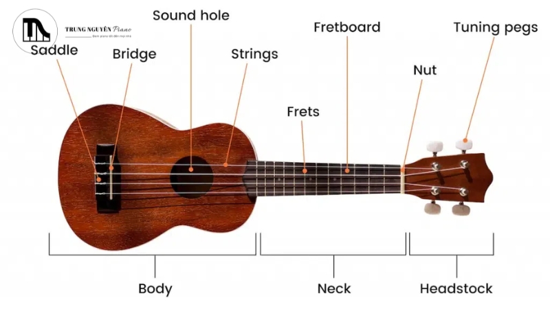 Các loại đàn Ukulele: Soprano, Concert, Tenor & Cách chọn phù hợp 2 Sơ đồ chi tiết cấu tạo của một cây đàn Ukulele