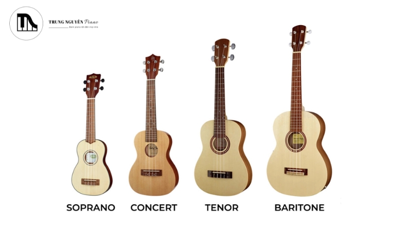 Các loại đàn Ukulele: Soprano, Concert, Tenor & Cách chọn phù hợp 7 Ukulele Baritone là loại Ukulele lớn nhất