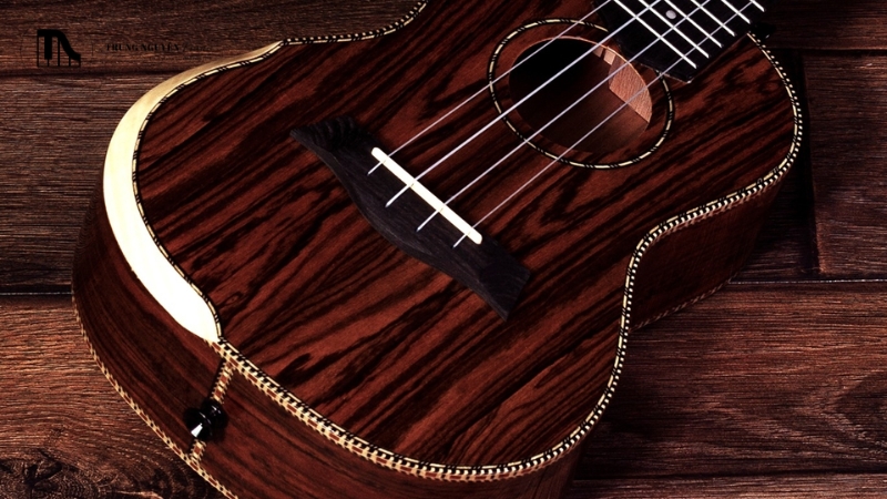 Các loại đàn Ukulele: Soprano, Concert, Tenor & Cách chọn phù hợp 5 Ukulele Concert là sự lựa chọn cân bằng hoàn hảo