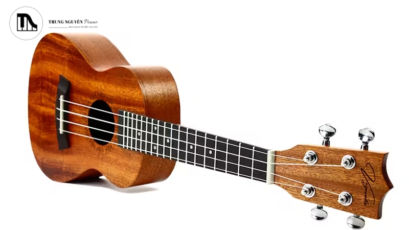 Các loại đàn Ukulele: Soprano, Concert, Tenor & Cách chọn phù hợp 6 Ukulele Tenor tạo ra âm lượng lớn, độ vang tốt