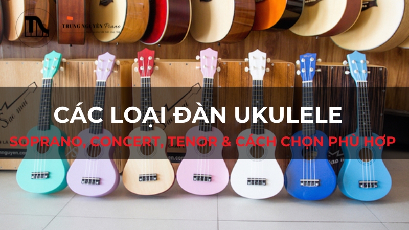 Các loại đàn Ukulele: Soprano, Concert, Tenor & Cách chọn phù hợp