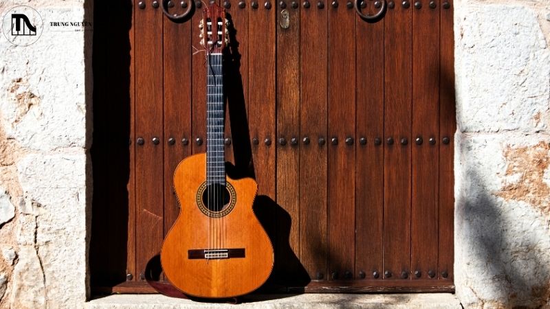 Checklist: Một cây đàn guitar tốt cần đáp ứng những yêu cầu nào? 1 Các loại gỗ phổ biến trên đàn guitar