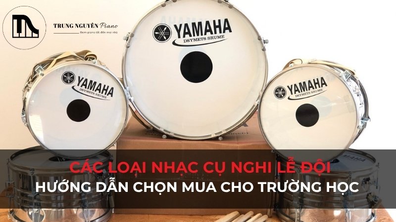 Các loại nhạc cụ nghi lễ đội: Hướng dẫn chọn mua cho trường học