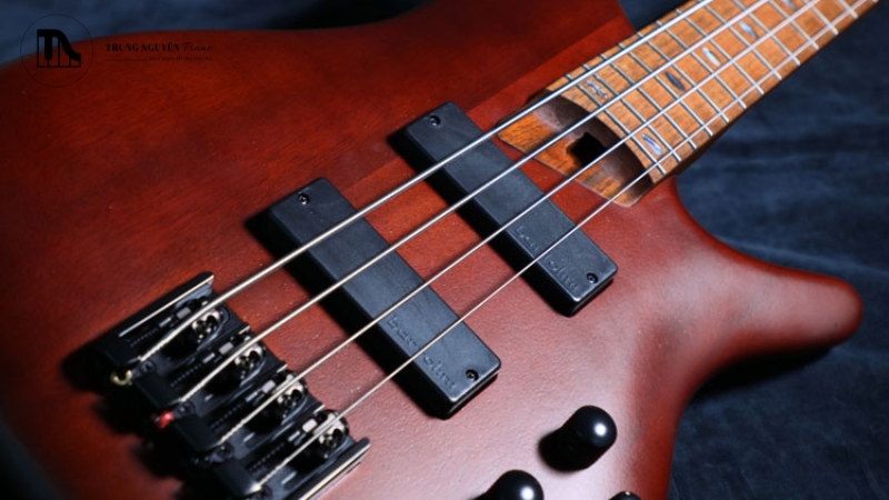 Cách chơi Guitar Bass tự học hiệu quả cho người mới 10 Bảo dưỡng Guitar Bass để đàn luôn bền đẹp