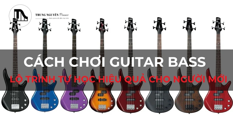 Cách chơi Guitar Bass: Lộ trình tự học hiệu quả cho người mới