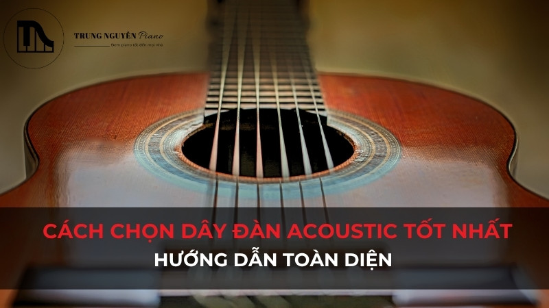 Cách chọn dây đàn Acoustic tốt nhất: Hướng dẫn toàn diện