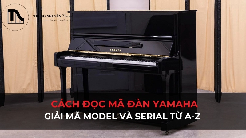 Cách đọc mã đàn Yamaha: Giải mã Model và Serial từ A-Z