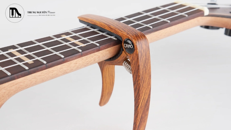 Capo không chỉ là công cụ hỗ trợ mà còn là một phương tiện sáng tạo