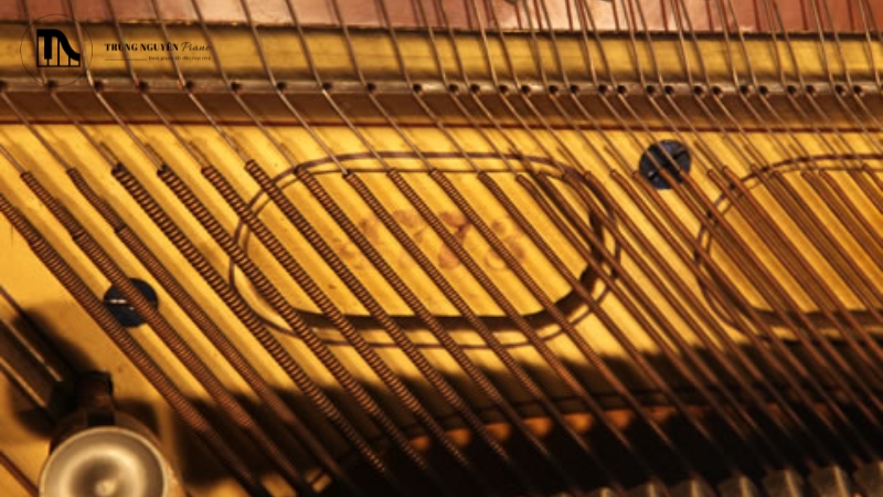 Lựa chọn đàn piano với cầu ngựa chất lượng