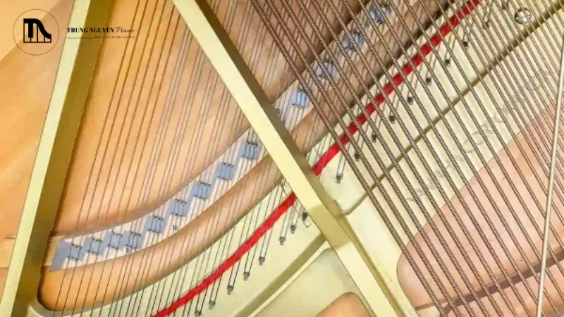 Cầu ngựa được chế tác vô cùng tỉ mỉ để chịu được lực căng khổng lồ từ hàng trăm dây đàn