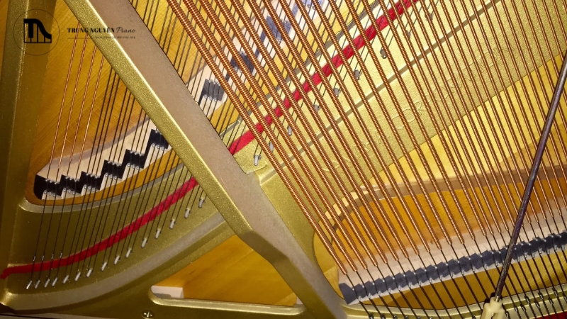 Từ rung động dây đàn đến bảng cộng hưởng