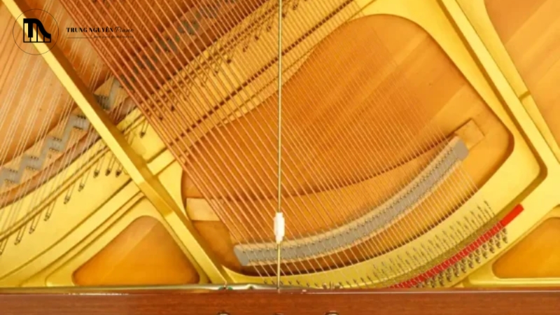 Bảng cộng hưởng hoạt động như một "chiếc loa" khổng lồ bằng gỗ tự nhiên