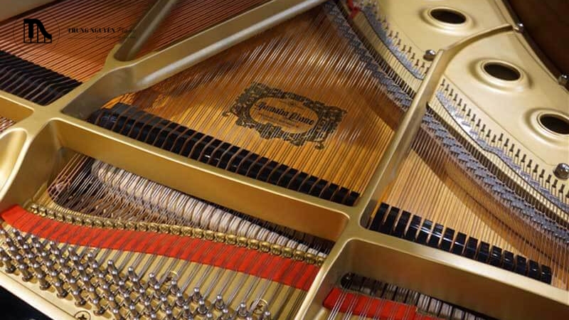 Cầu ngựa không chỉ truyền âm mà còn "tô màu" cho âm thanh