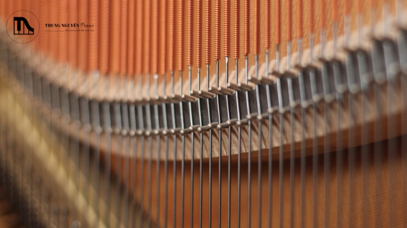 Mối liên hệ giữa cầu ngựa và độ dài âm thanh